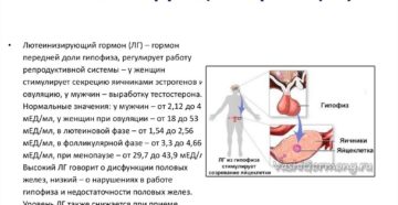 Лютеотропин повышен у женщин