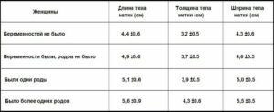 Какие размеры матки и шейки считаются нормой