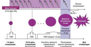 Препараты для стимуляции овуляции при эко