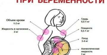 Норма веса при беременности