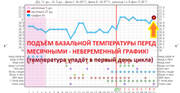 Ректальная температура перед месячными