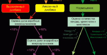 Выраженный дисбиоз у женщин что это