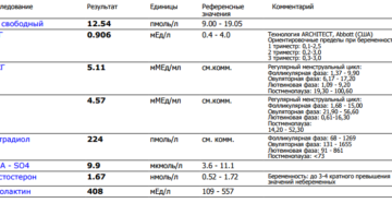 Тестостерон на какой день цикла сдавать женщинам