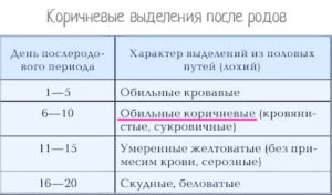 Как долго идут лохии после родов