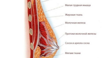 Увеличение молочных желез у женщин причины