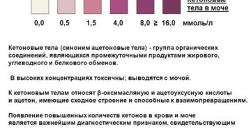 Повышены кетоны при беременности в моче