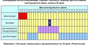 Сколько дней можно не предохраняться после месячных