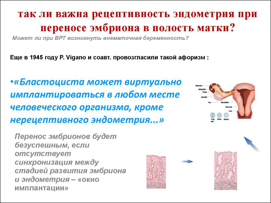 Какой должен быть эндометрий при подсадке эмбрионов