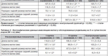 Нормальные показатели матки по узи