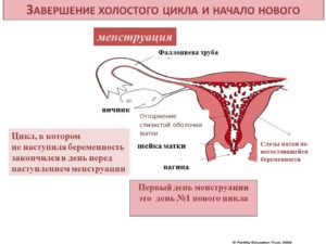 Если вообще нет месячных можно ли забеременеть