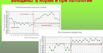 Ректальная температура норма у женщин