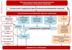 Гиперплазия эндометрия в постменопаузе лечение