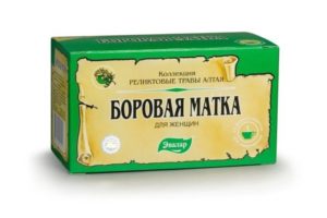 Можно ли при месячных пить боровую матку