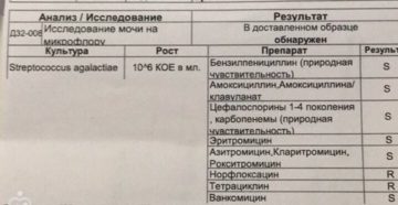 Стрептококк при беременности в моче